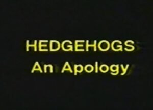 A stern, no-nonsense caption: "HEDGEHOGS - An Apology".